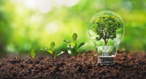 Le transport entre particuliers et ses bienfaits sur notre environnement - Envoi de colis & livraison entre particuliers à l'internationalà expédier